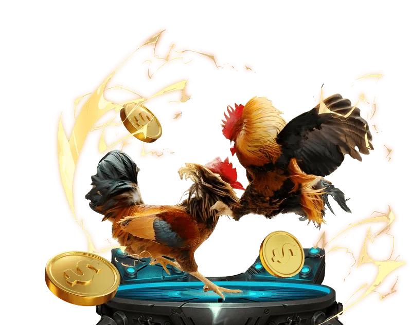 Đá gà trực tiếp trang 88 vị thế hàng đầu